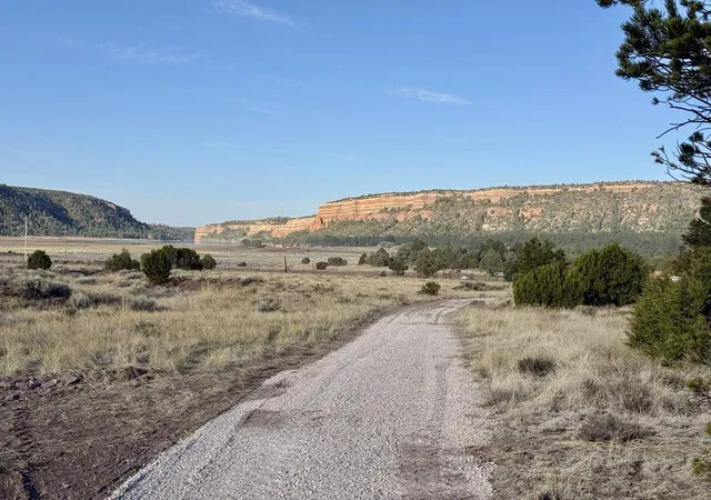 Homes for sale in Ramah, NM | Lot 18 Buttonwood Dr, Ramah, NM 87321 | MLS# 1085438