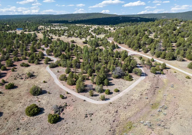 Homes for sale in Ramah, NM | Lot 18 Buttonwood Dr, Ramah, NM 87321 | MLS# 1085438