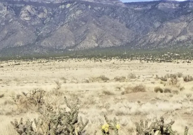 1st image of S Rio Del Oro Lot 34 & 35, Los Lunas, NM 87031 | MLS# 1085614