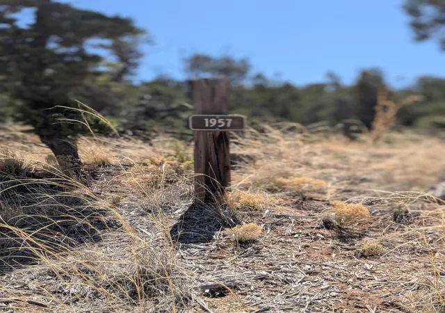 Photo 2 of Land for sale at 1957 Deer Canyon Trl, Mountainair, NM 87036 | MLS# 1086113 | Listing updated on 2026-07-21