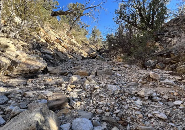 Photo 3 of Land for sale at 1957 Deer Canyon Trl, Mountainair, NM 87036 | MLS# 1086113 | Listing updated on 2026-07-21
