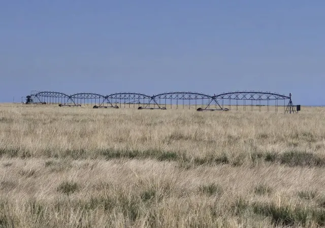 4th image of (Undisclosed), Stanley, NM 87056 | MLS# 1087224