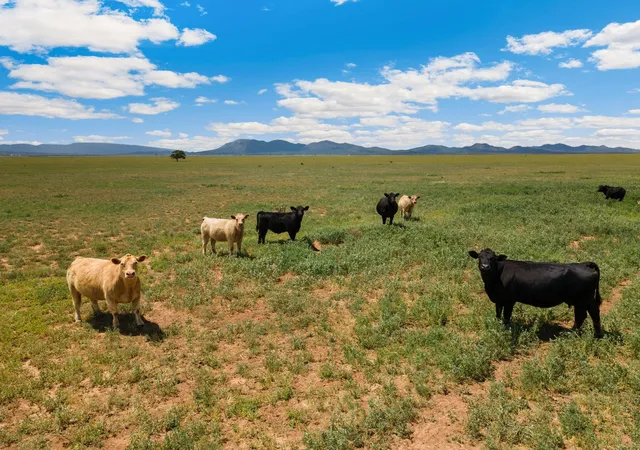 1st image of (Undisclosed), Stanley, NM 87056 | MLS# 1087226