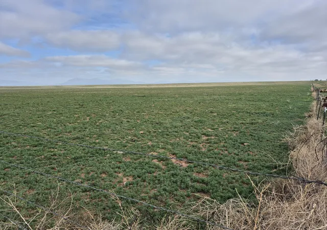 30th image of (Undisclosed), Stanley, NM 87056 | MLS# 1087226