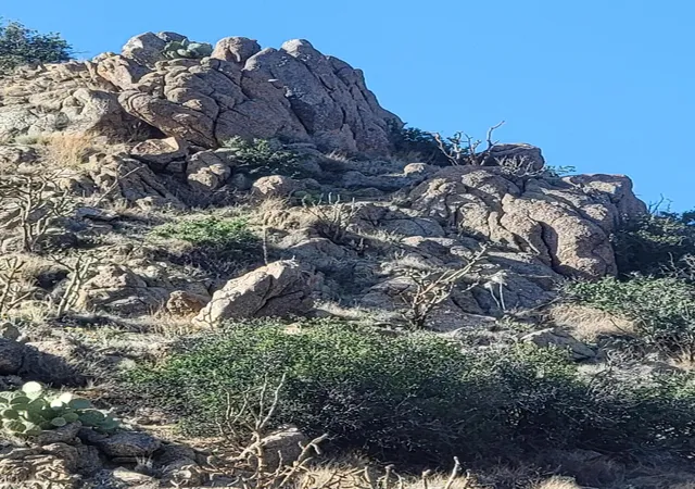 3rd image of 1215/1217 Hideaway Ln Se, Albuquerque, NM 87123 | MLS# 1087535