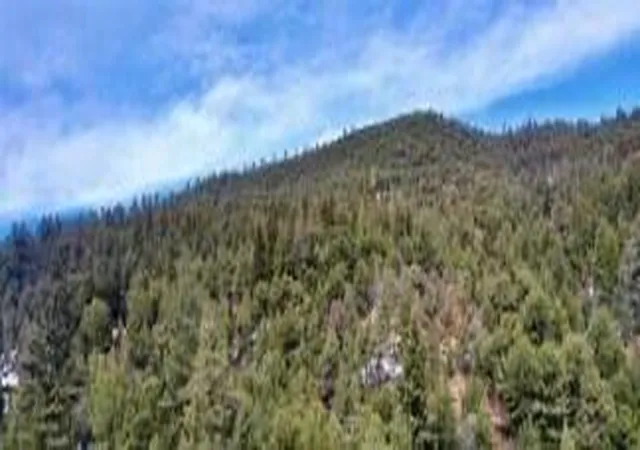 5th image of Pinon Trail, Taos, NM 87571 | MLS# 1087611