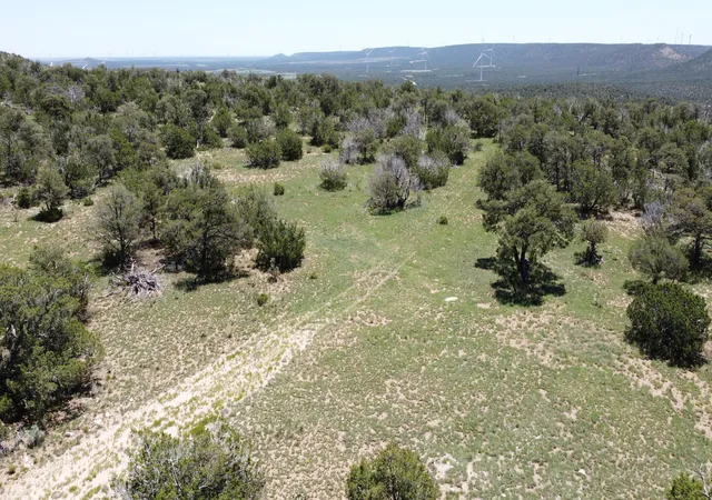 Photo 1 of Land for sale at Lot 16 Swayback Trl, Corona, NM 88318 | MLS# 1087764 | Listing updated on 2026-07-22