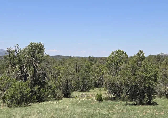 Photo 20 of Land for sale at Lot 16 Swayback Trl, Corona, NM 88318 | MLS# 1087764 | Listing updated on 2026-07-22