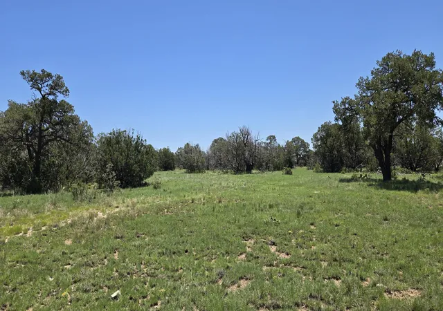 Photo 2 of Land for sale at Lot 16 Swayback Trl, Corona, NM 88318 | MLS# 1087764 | Listing updated on 2026-07-22