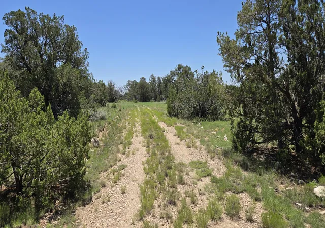 Photo 3 of Land for sale at Lot 16 Swayback Trl, Corona, NM 88318 | MLS# 1087764 | Listing updated on 2026-07-22