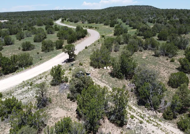 Photo 4 of Land for sale at Lot 16 Swayback Trl, Corona, NM 88318 | MLS# 1087764 | Listing updated on 2026-07-22