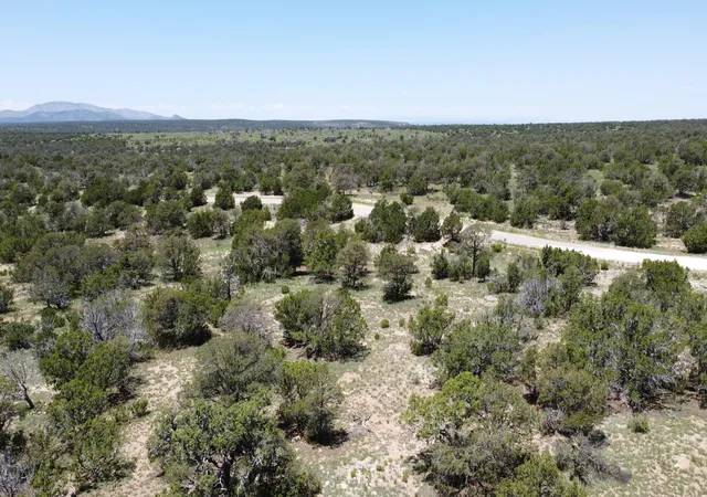 Photo 5 of Land for sale at Lot 16 Swayback Trl, Corona, NM 88318 | MLS# 1087764 | Listing updated on 2026-07-22