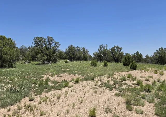 Photo 2 of Land for sale at Lot 17 Swayback Trail, Corona, NM 88318 | MLS# 1087766 | Listing updated on 2026-07-22