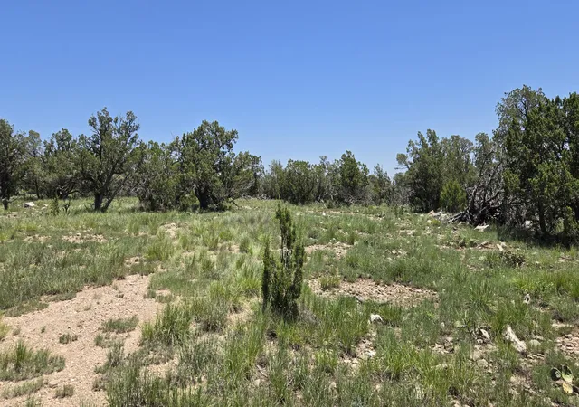 Photo 3 of Land for sale at Lot 17 Swayback Trail, Corona, NM 88318 | MLS# 1087766 | Listing updated on 2026-07-22