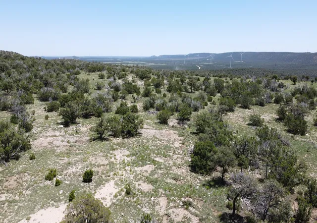 Photo 4 of Land for sale at Lot 17 Swayback Trail, Corona, NM 88318 | MLS# 1087766 | Listing updated on 2026-07-22