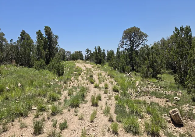Photo 5 of Land for sale at Lot 17 Swayback Trail, Corona, NM 88318 | MLS# 1087766 | Listing updated on 2026-07-22