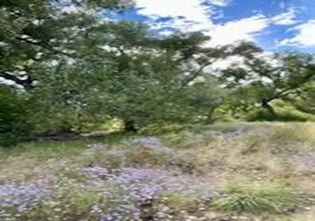 Photo 3 of Land for sale at Co Rd 120, Espanola, NM 87532 | MLS# 1088096 | Listing updated on 2026-07-21
