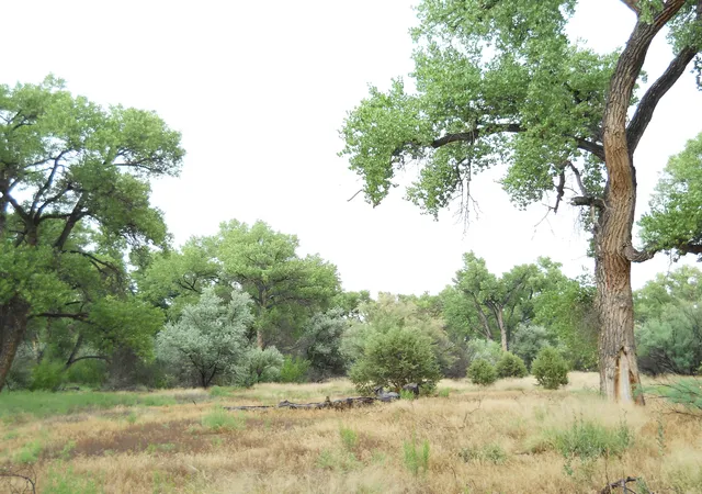Photo 4 of Land for sale at Co Rd 120, Espanola, NM 87532 | MLS# 1088096 | Listing updated on 2026-07-21