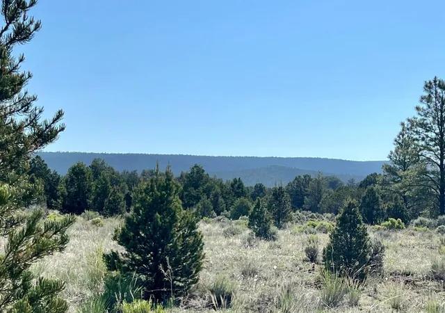 Homes for sale in Ramah, NM | Lot 15 Buttonwood Dr, Ramah, NM 87321 | MLS# 1088102