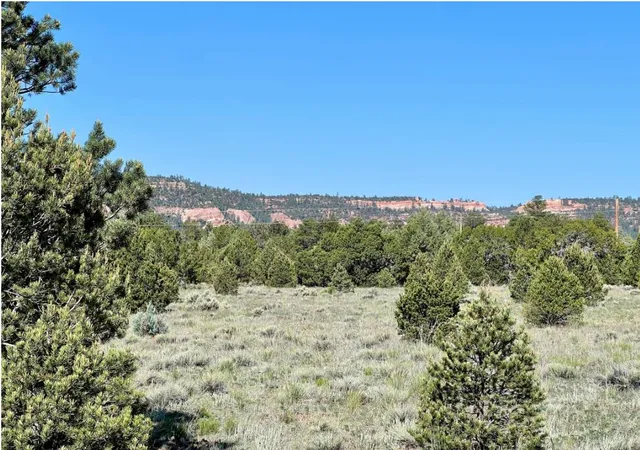 Photo 2 of Land for sale at Lot 15 Buttonwood Dr, Ramah, NM 87321 | MLS# 1088102 | Listing updated on 2026-07-22