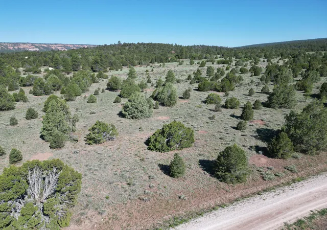 Photo 3 of Land for sale at Lot 15 Buttonwood Dr, Ramah, NM 87321 | MLS# 1088102 | Listing updated on 2026-07-22