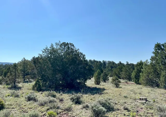 Photo 4 of Land for sale at Lot 15 Buttonwood Dr, Ramah, NM 87321 | MLS# 1088102 | Listing updated on 2026-07-22