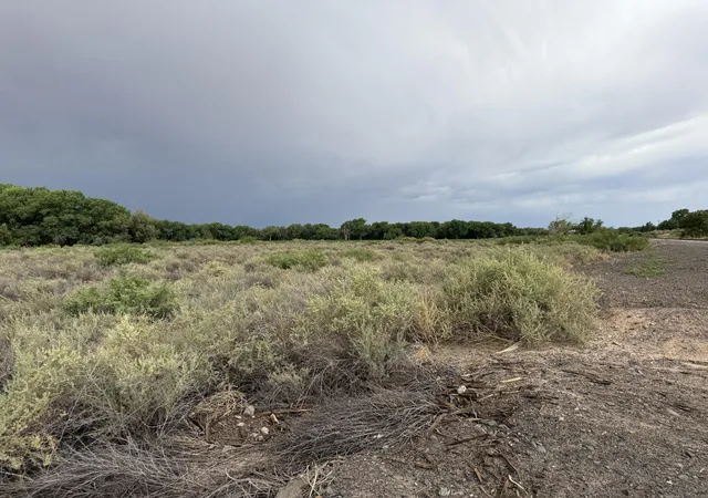 Homes for sale in Bosque, NM | 0 Winery Rd, Bosque, NM 87006 | MLS# 1088278