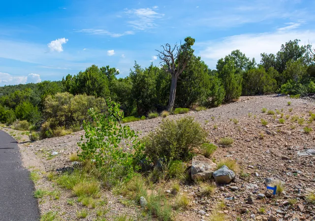 Homes for sale in Sandia Park, NM | 22 Prado Vista, Sandia Park, NM 87047 | MLS# 1088595