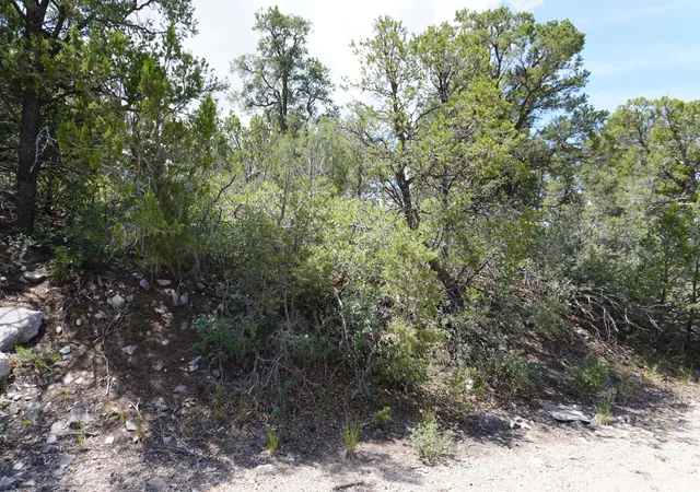 Photo 1 of Land for sale at 263 Five Hills Dr, Tijeras, NM 87059 | MLS# 1088656 | Listing updated on 2026-08-07