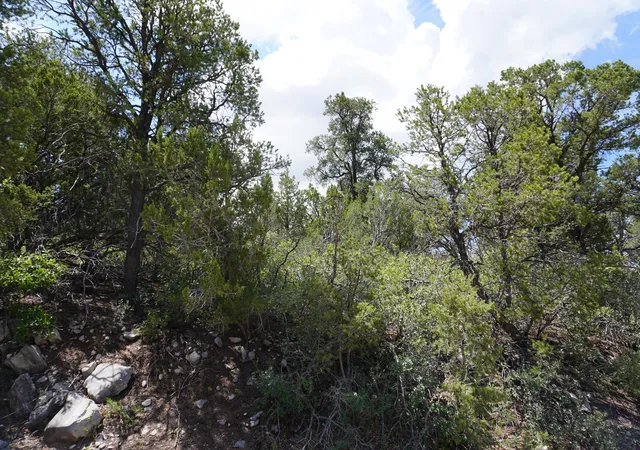 Photo 3 of Land for sale at 263 Five Hills Dr, Tijeras, NM 87059 | MLS# 1088656 | Listing updated on 2026-08-07