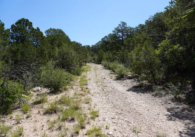 Photo 3 of Land for sale at 263 Five Hills Dr, Tijeras, NM 87059 | MLS# 1088656 | Listing updated on 2026-08-07