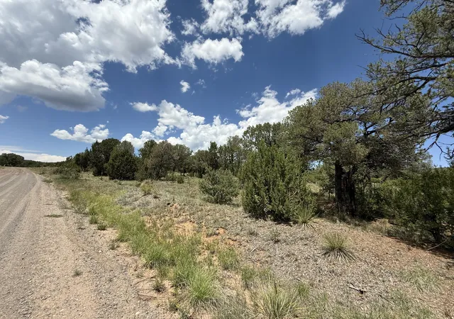 Photo 2 of Land for sale at 44 Forest Rd 321, Estancia, NM 87016 | MLS# 1089500 | Listing updated on 2026-07-22