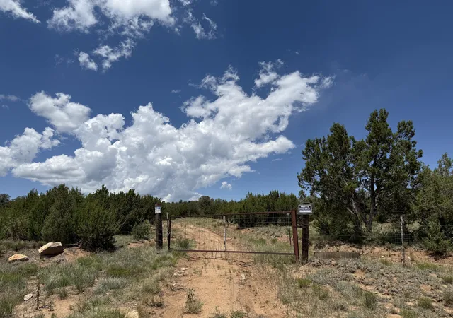 Photo 3 of Land for sale at 44 Forest Rd 321, Estancia, NM 87016 | MLS# 1089500 | Listing updated on 2026-07-22