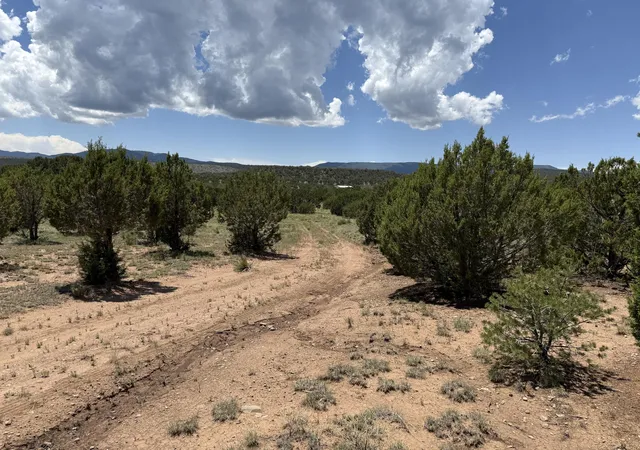 Photo 4 of Land for sale at 44 Forest Rd 321, Estancia, NM 87016 | MLS# 1089500 | Listing updated on 2026-07-22