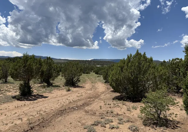 Photo 5 of Land for sale at 44 Forest Rd 321, Estancia, NM 87016 | MLS# 1089500 | Listing updated on 2026-07-22