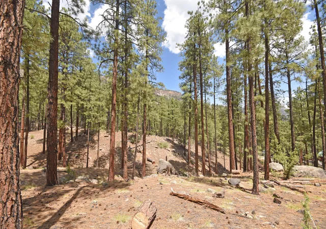 1st image of Lot 6a Cool Pines, Jemez Springs, NM 87025 | MLS# 1089563