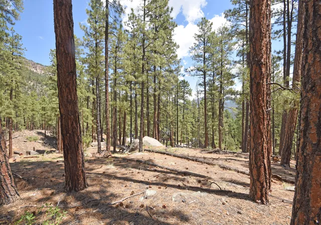 21st image of Lot 6a Cool Pines, Jemez Springs, NM 87025 | MLS# 1089563