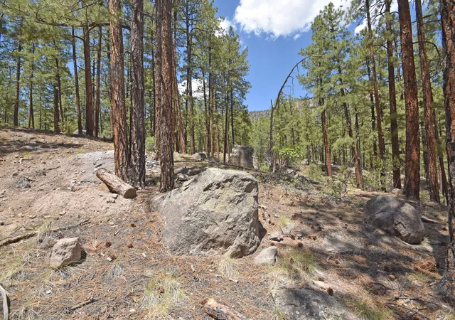 2nd image of Lot 6a Cool Pines, Jemez Springs, NM 87025 | MLS# 1089563
