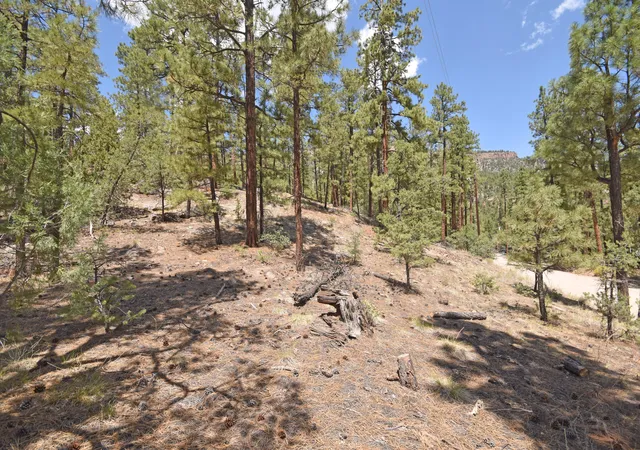 Photo 3 of Sale Pending at Lot 6a Cool Pines, Jemez Springs, NM 87025 | MLS# 1089563 | Listing updated on 2026-08-27