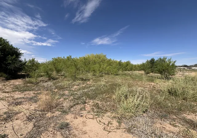 3rd image of Darla Dr, Los Lunas, NM 87031 | MLS# 1089748