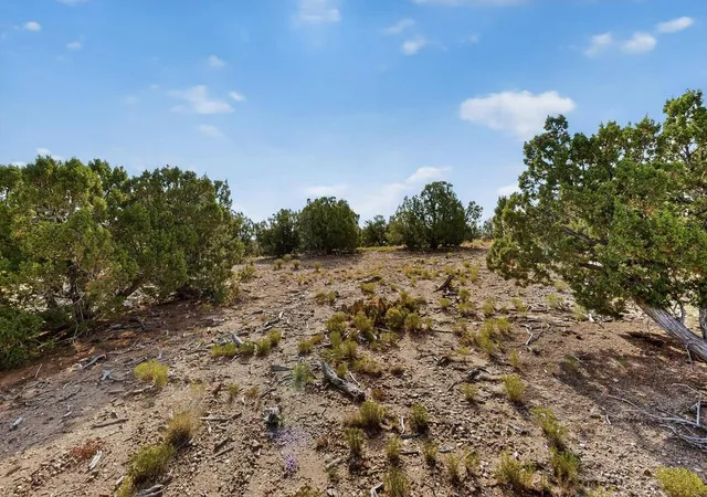 26th image of 76,87,88 Avenida Aldea, Santa Fe, NM 87507 | MLS# 1089854