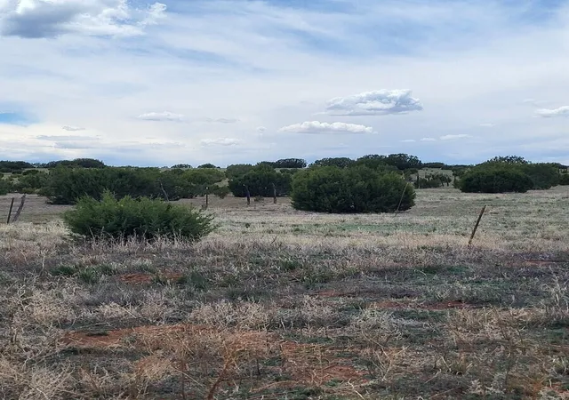 1st image of Bullion Rd, Moriarty, NM 87035 | MLS# 1090133