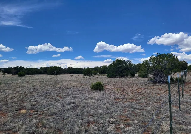 3rd image of Bullion Rd, Moriarty, NM 87035 | MLS# 1090133