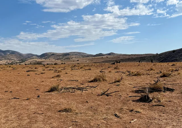Photo 2 of Land for sale at Lot 122 Golden Ridge, San Antonio, NM 87832 | MLS# 1090883 | Listing updated on 2026-08-26