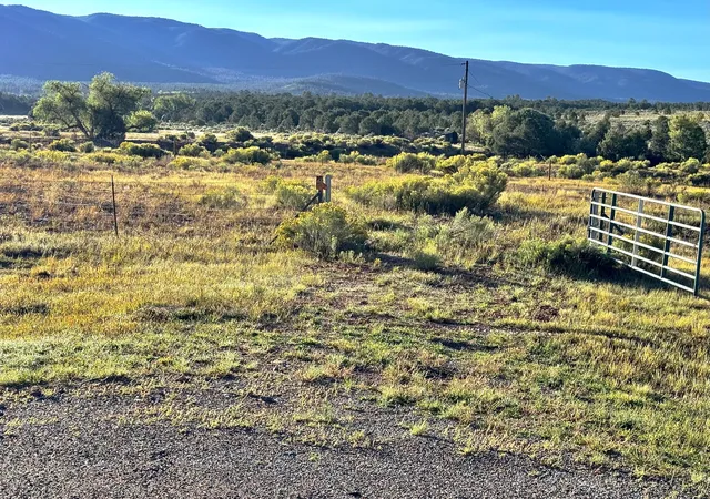 4th image of Tbd State Hwy 96, Regina, NM 87046 | MLS# 1091247