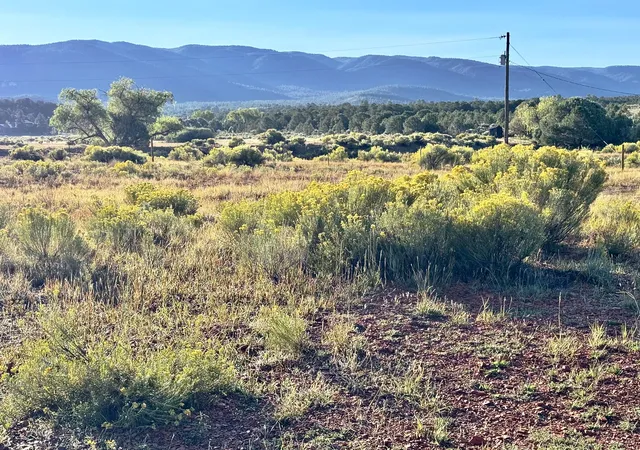 5th image of Tbd State Hwy 96, Regina, NM 87046 | MLS# 1091247