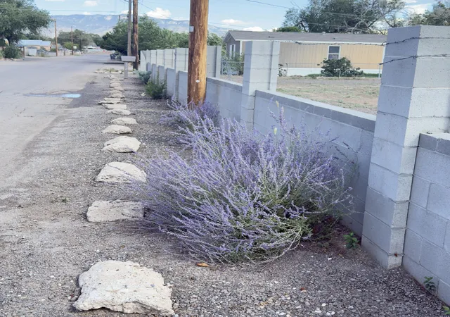 2nd image of 152 Willow Rd Nw, Albuquerque, NM 87107 | MLS# 1091255