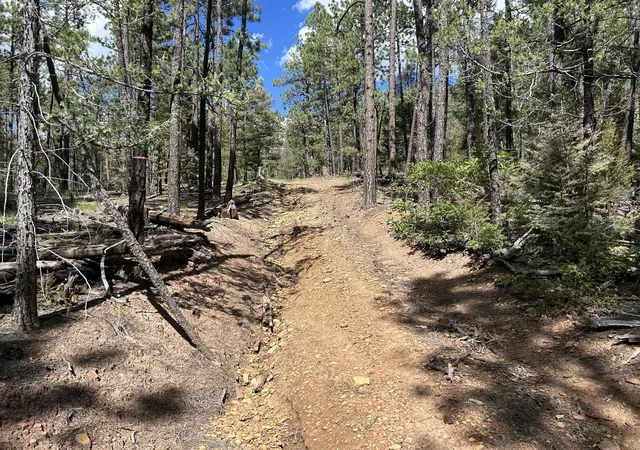 3rd image of 23 Acre Lot, Pecos, NM 87552 | MLS# 1091332