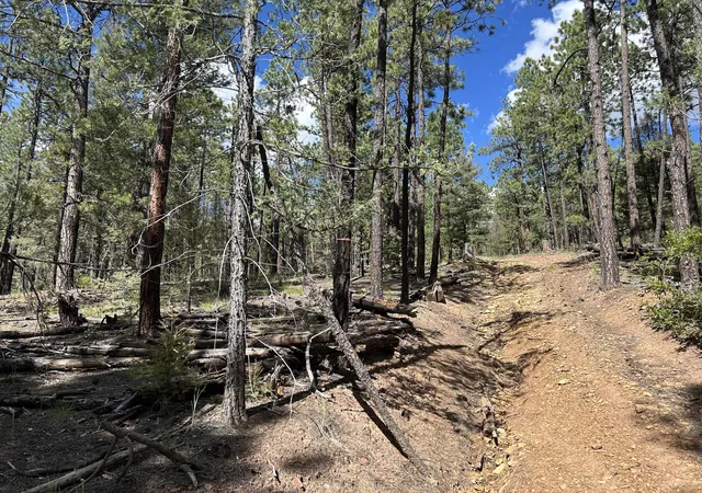 4th image of 23 Acre Lot, Pecos, NM 87552 | MLS# 1091332