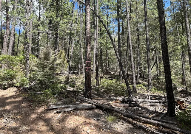 5th image of 23 Acre Lot, Pecos, NM 87552 | MLS# 1091332